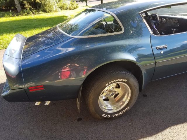 1981 Blue metallic flake Pontiac Trans Am Fastback