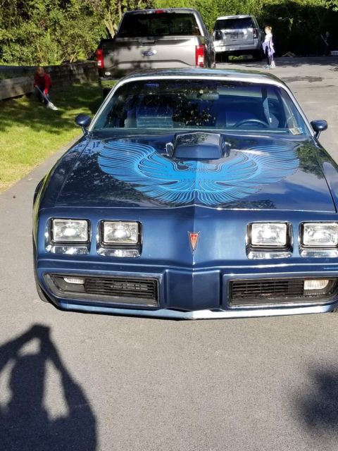 1981 Blue metallic flake Pontiac Trans Am Fastback