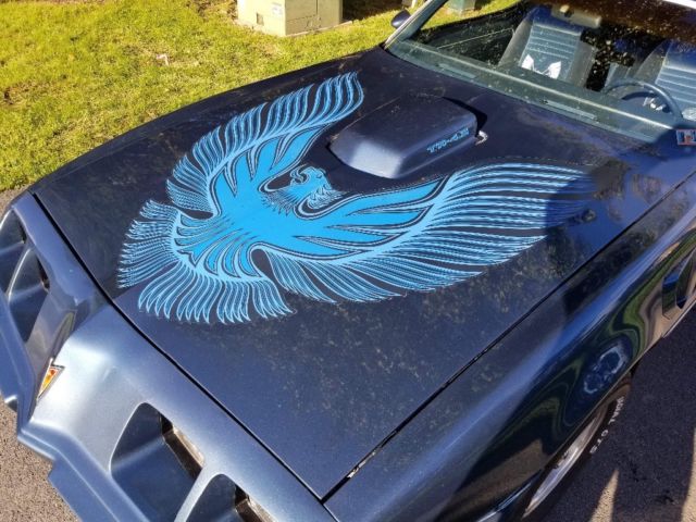 1981 Blue metallic flake Pontiac Trans Am Fastback