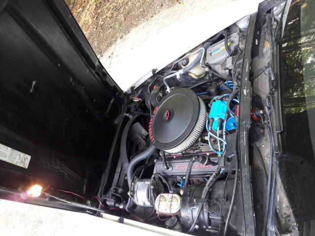 1981 Chevrolet Corvette