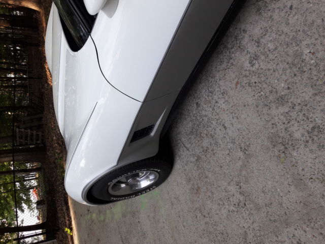 1981 Chevrolet Corvette