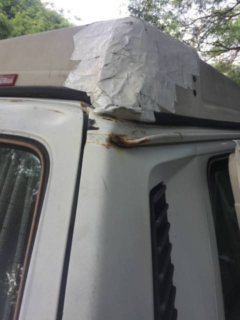 1981 Volkswagen Bus/Vanagon