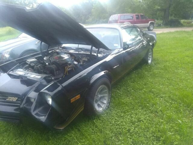 1981 Black Chevrolet Camaro Coupe