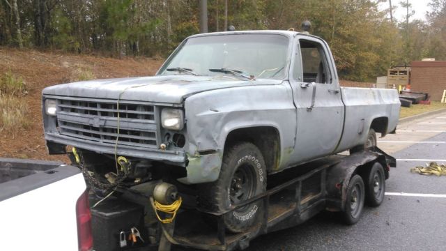 1981 Blue Chevrolet C-10 Full size