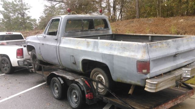 1981 Blue Chevrolet C-10 Full size