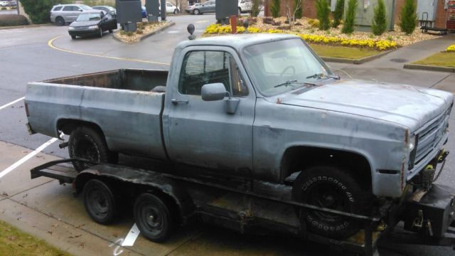 1981 Blue Chevrolet C-10 Full size