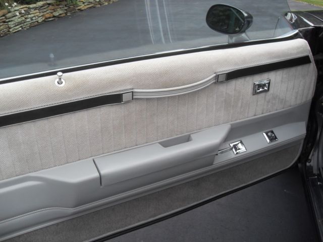 1982 charcoal/ silver Buick Grand National 2 door