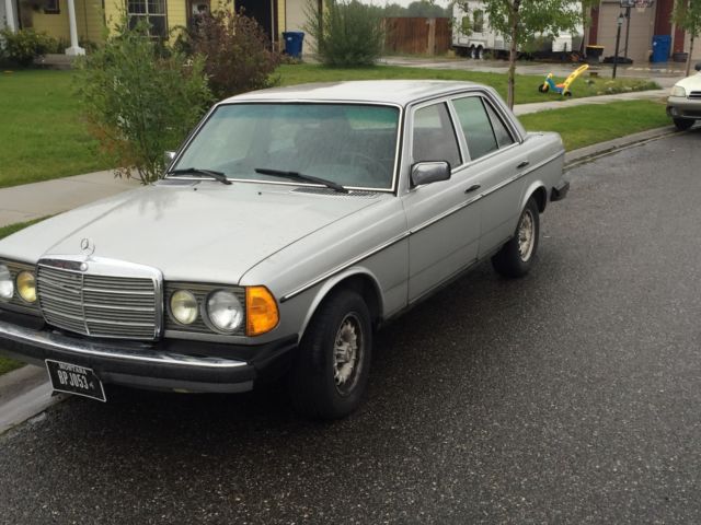 1982 Blue Mercedes-Benz 300-Series Sedan