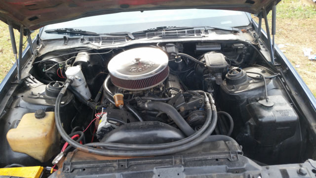 1983 Blue Chevrolet Camaro Coupe