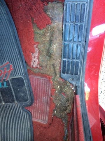 1983 Chevrolet C/K Pickup 1500