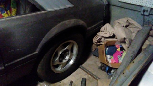 1984 epoxy primer Ford Mustang Hatchback