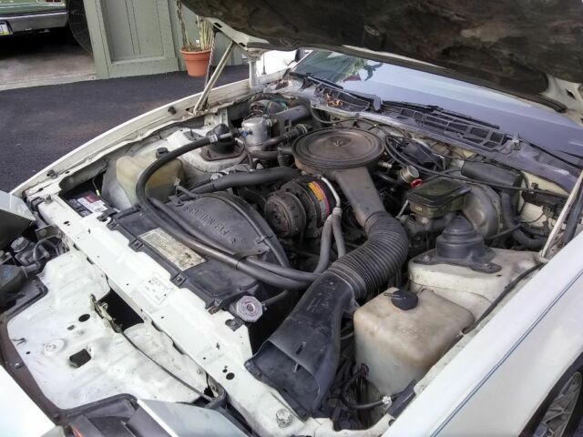 1984 White Pontiac Firebird Coupe