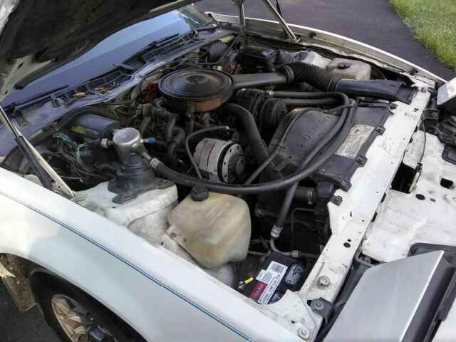 1984 White Pontiac Firebird Coupe