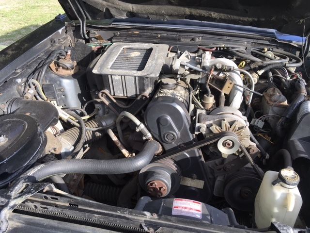 1984 Gray Ford Mustang Hatchback
