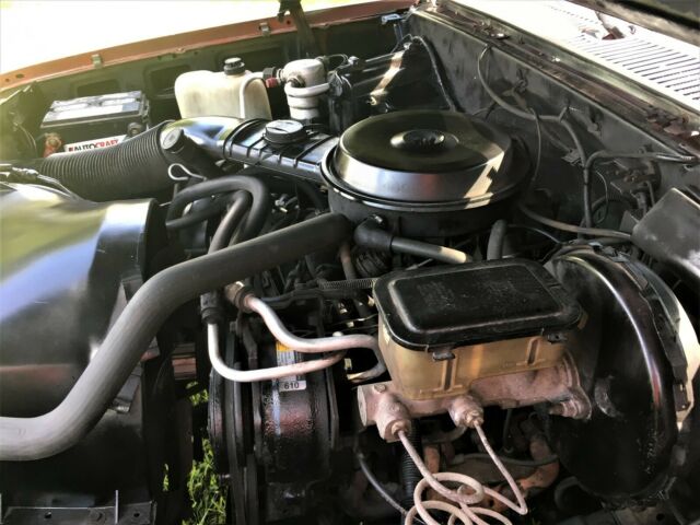 1986 Black Chevrolet C-10 Standard Cab Pickup