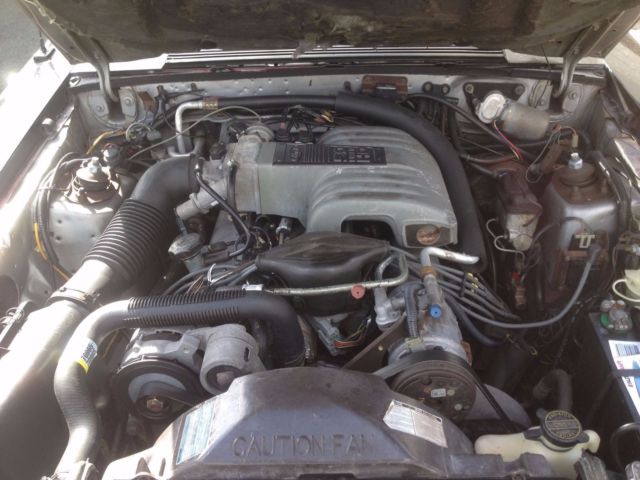 1986 black Ford Mustang Hatchback