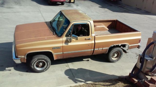 1986 Gold Chevrolet Other Pickups Standard Cab Pickup
