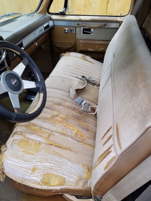 1986 Gold Chevrolet Other Pickups Standard Cab Pickup