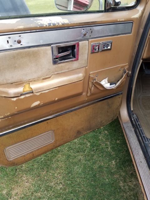 1986 Gold Chevrolet Other Pickups Standard Cab Pickup
