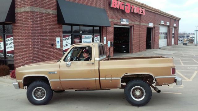 1986 Gold Chevrolet Other Pickups Standard Cab Pickup