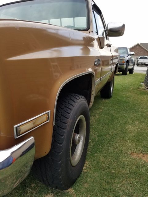 1986 Gold Chevrolet Other Pickups Standard Cab Pickup