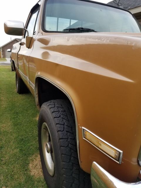 1986 Gold Chevrolet Other Pickups Standard Cab Pickup