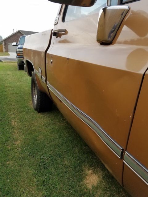 1986 Gold Chevrolet Other Pickups Standard Cab Pickup