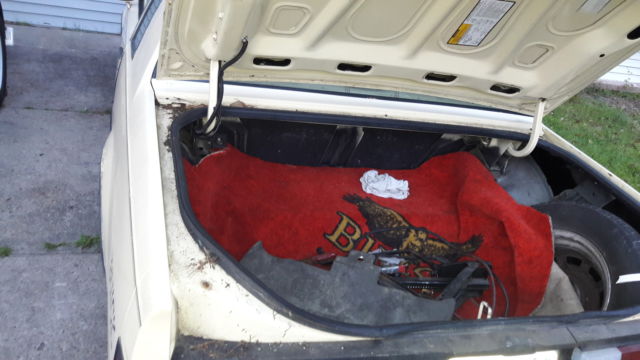 1987 Beige Buick Regal