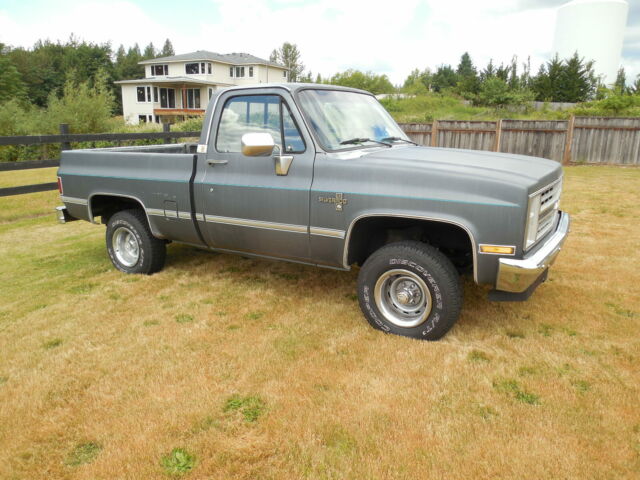 1987 GRAY Chevrolet C-10 Standard Cab Pickup