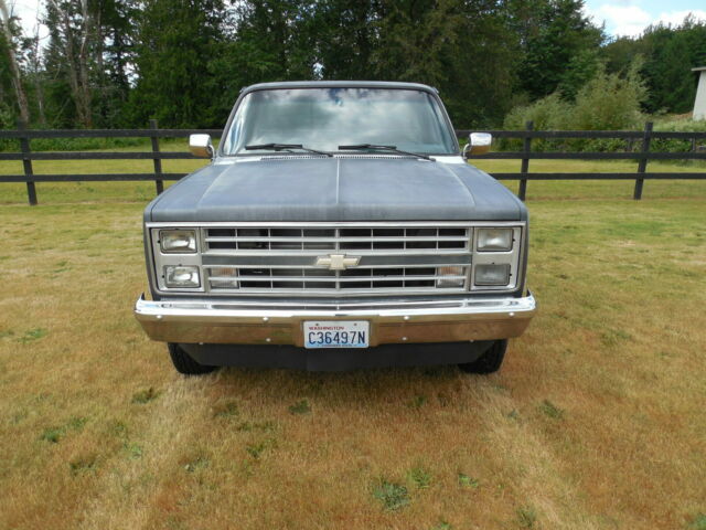 1987 GRAY Chevrolet C-10 Standard Cab Pickup