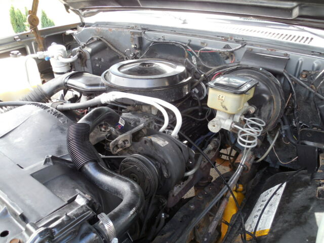 1987 GRAY Chevrolet C-10 Standard Cab Pickup