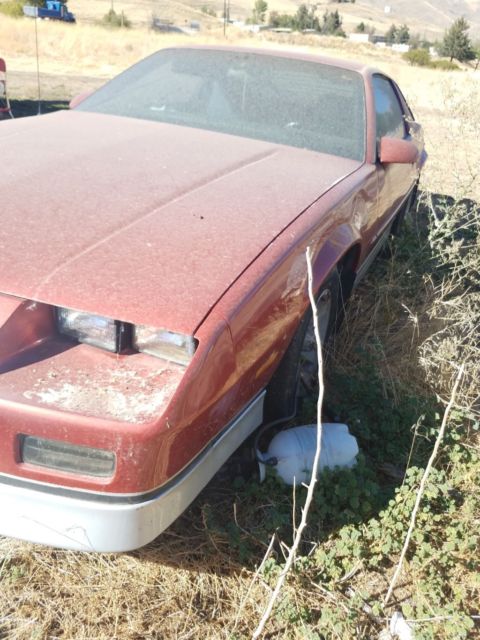 1988 Brown Chevrolet Camaro Coupe