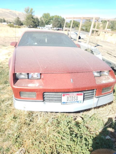 1988 Brown Chevrolet Camaro Coupe