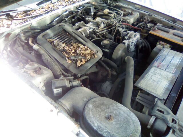 1988 Gray Ford Thunderbird Coupe