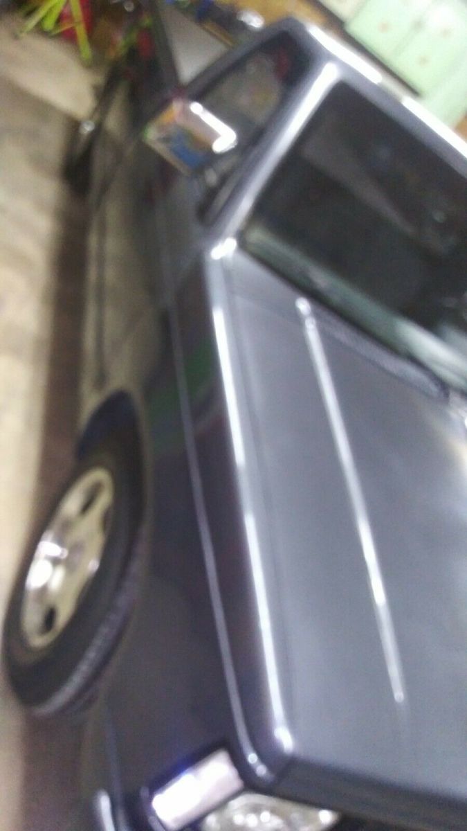 1989 Gray Chevrolet S-10 Standard Cab Pickup