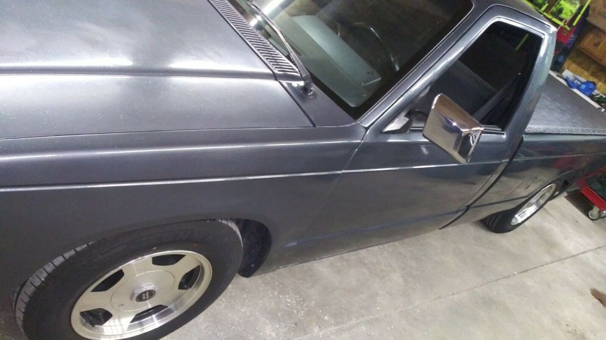 1989 Gray Chevrolet S-10 Standard Cab Pickup