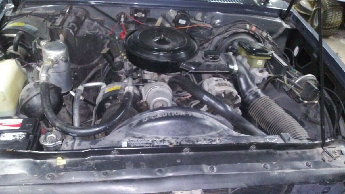 1989 Gray Chevrolet S-10 Standard Cab Pickup