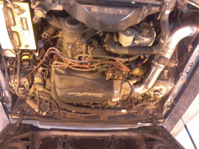 1991 Green Ford Mustang