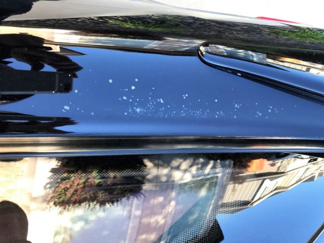 1989 Black Toyota Supra Coupe