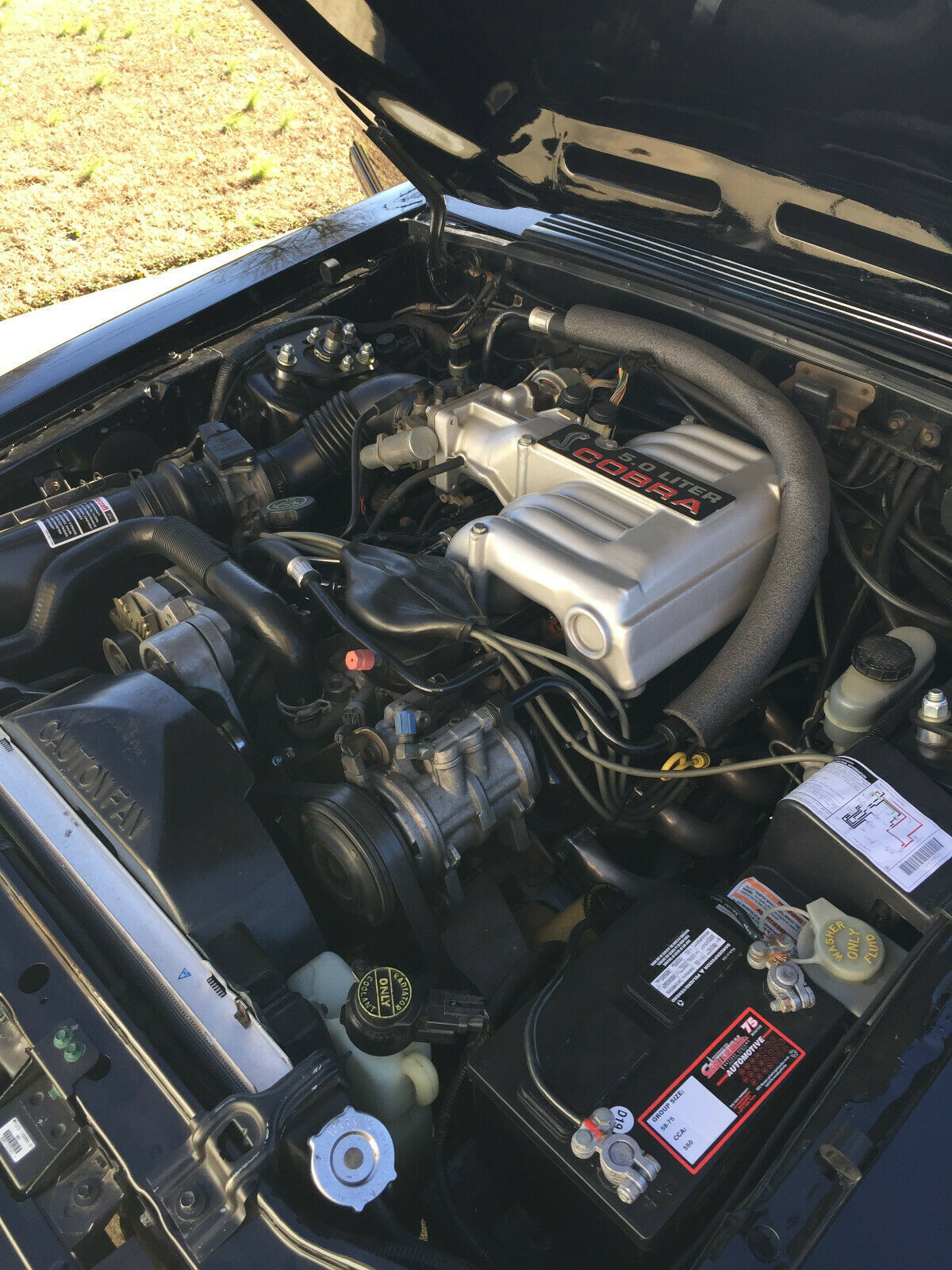 1991 Black Ford Mustang Hatchback