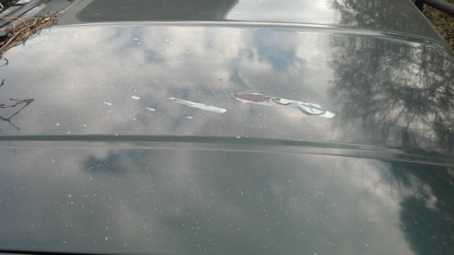 1994 Green Ford Explorer SUV