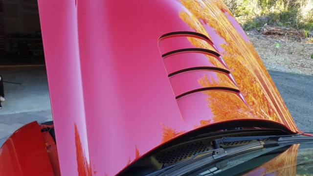 1994 Rio-Red Ford Mustang Coupe