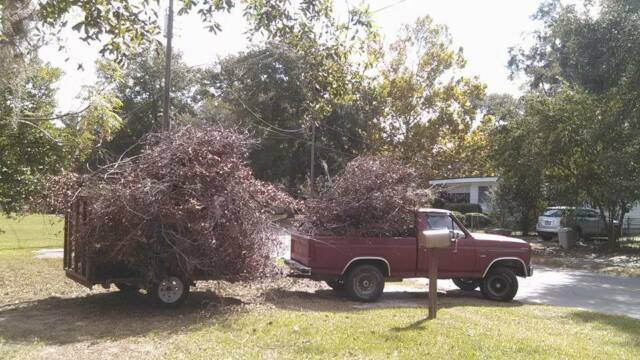 1985 Primer Ford F-150 Standard Cab Pickup
