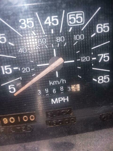 1985 Primer Ford F-150 Standard Cab Pickup