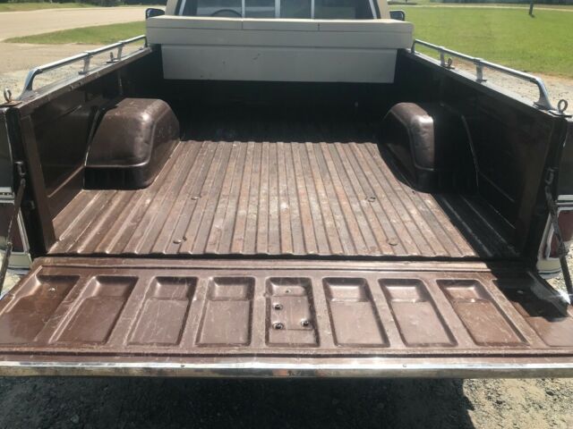 1979 Brown Chevrolet C-10 Standard Cab Pickup