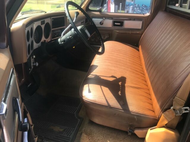 1979 Brown Chevrolet C-10 Standard Cab Pickup