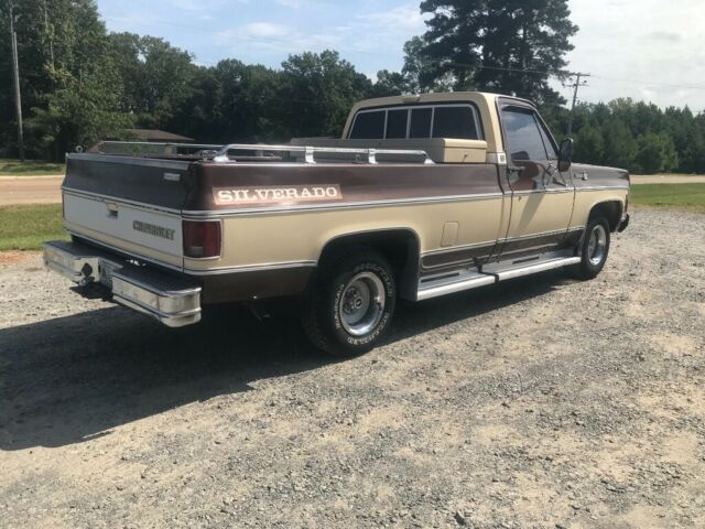 1979 Brown Chevrolet C-10 Standard Cab Pickup