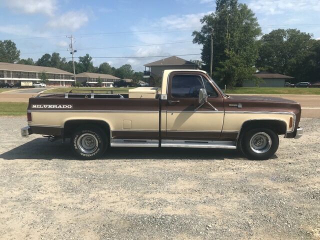 1979 Brown Chevrolet C-10 Standard Cab Pickup