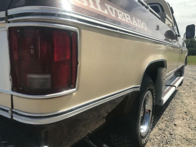 1979 Brown Chevrolet C-10 Standard Cab Pickup