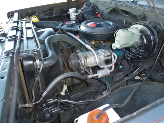 1979 Charcoal Metallic Chevrolet C/K Pickup 1500 Standard Cab Pickup